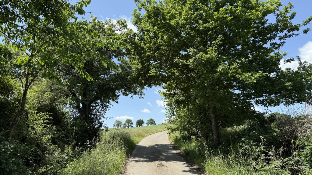 Wanderweg bei Quirnbach mit Naturpfad und Weitblick – Pfarrer-Müller-Weg im Frühling