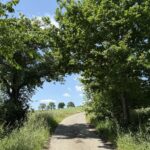 Wanderweg bei Quirnbach mit Naturpfad und Weitblick – Pfarrer-Müller-Weg im Frühling