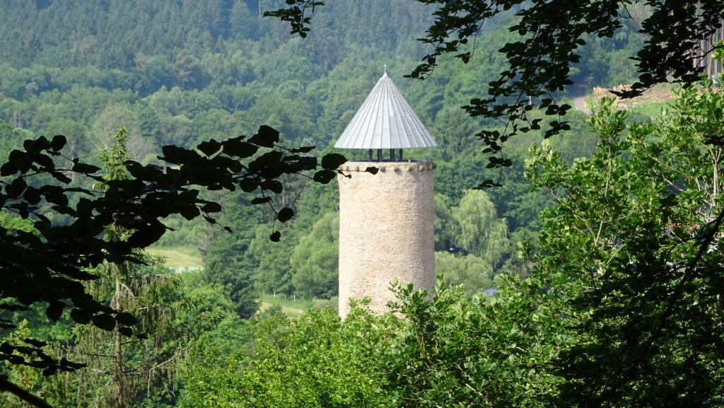 Waldblick auf alten Turm zwischen Bäumen