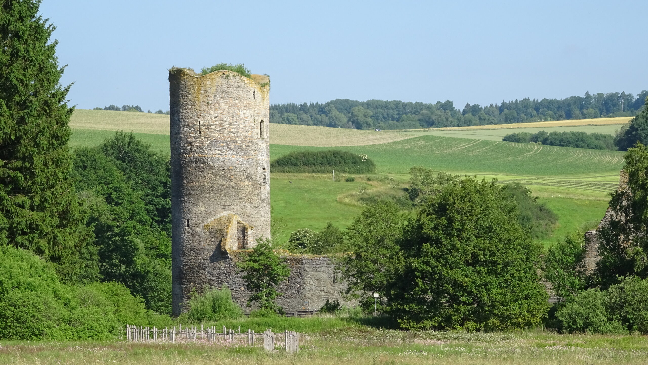 Ruine Burg Baldenau