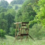 Muhleichenweg Holzkanzel am Waldrand mit Blick ins grüne Hügelland bei Börsborn