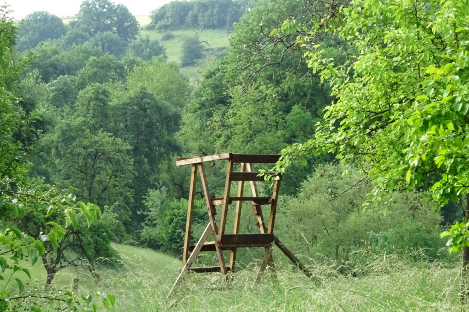 Muhleichenweg Holzkanzel am Waldrand mit Blick ins grüne Hügelland bei Börsborn
