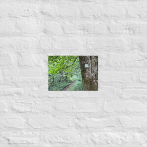 Schaumbergpfad Poster – Waldweg mit Markierung (A4)