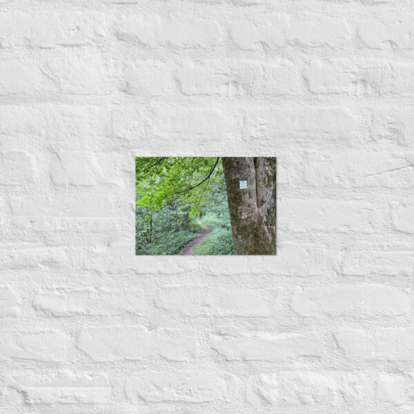 Schaumbergpfad Poster – Waldweg mit Markierung (A4)