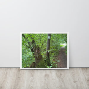 Gerahmte Leinwand „Waldpfad mit Moos“