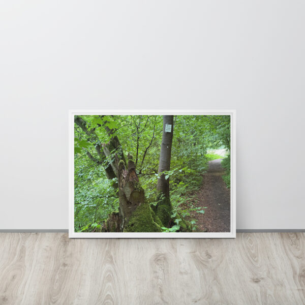 Gerahmte Leinwand „Waldpfad mit Moos“