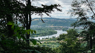 Wanderer auf stillem Waldpfad – Wandern für Körper und Seele