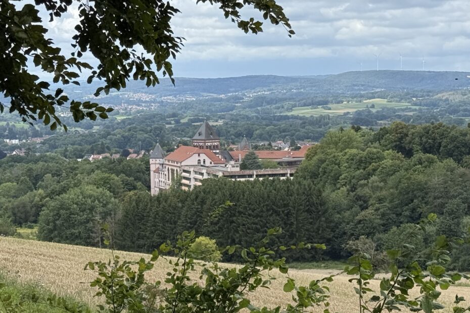 Fernblick auf Wendelinushof in St. Wendel, eingerahmt von Wald und Feldern