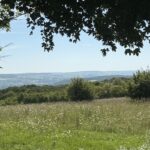 Blick über blühende Wiese und Wälder beim Wandern Blies-Grenz-Weg