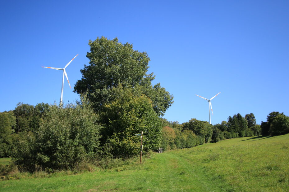 Windkraftanlagen am Energieweg Gimbweiler zwischen grünen Wiesen und Bäumen unter blauem Himmel