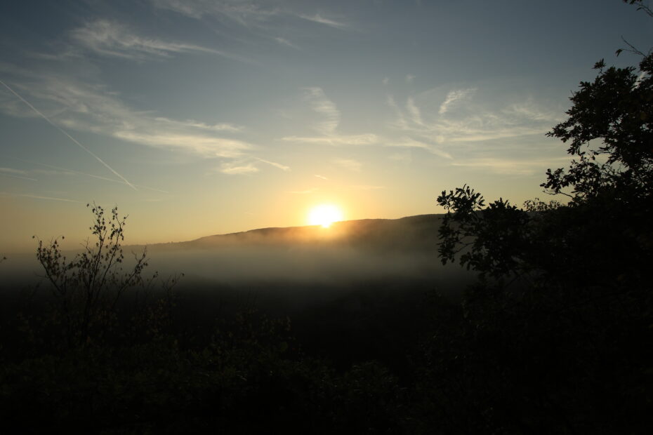 Sonnenaufgang über bewaldeten Hügeln, zarter Nebel im Tal und silhouettierte Zweige im Vordergrund auf der Traumschleife Hahnenbachtaltour.