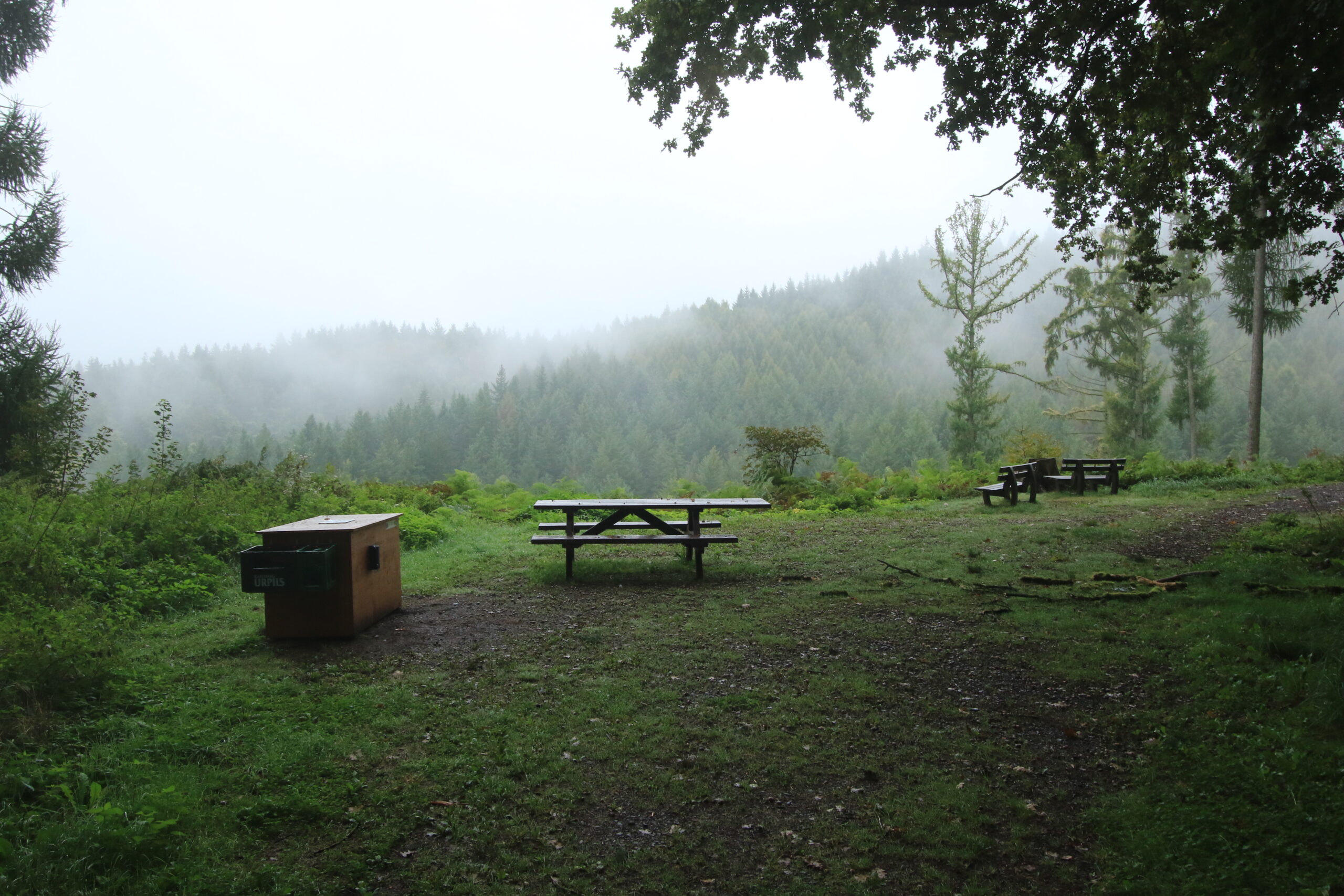 Rastplatz • Talblick im Nebel Rastplatz mit Picknicktischen und Aussicht im Morgennebel auf der Traumschleife Genießer Wäldchen