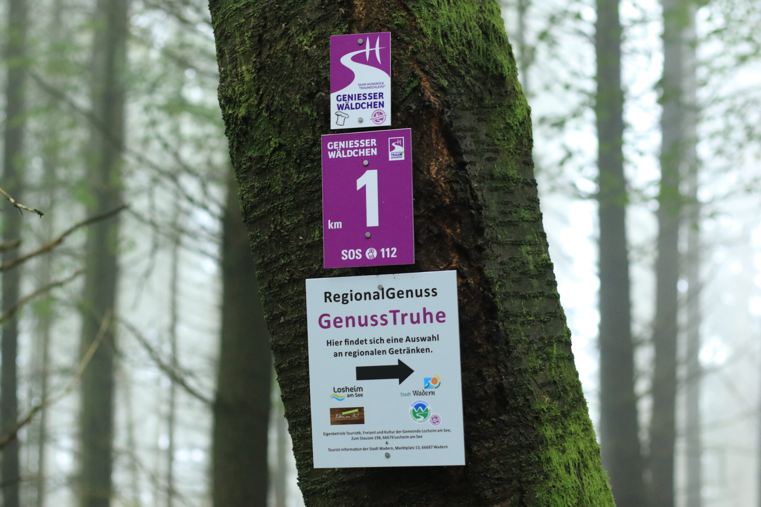Wegmarkierung • GenussTruhe Wegmarkierung Genießer Wäldchen am Baum mit Hinweis zur GenussTruhe
