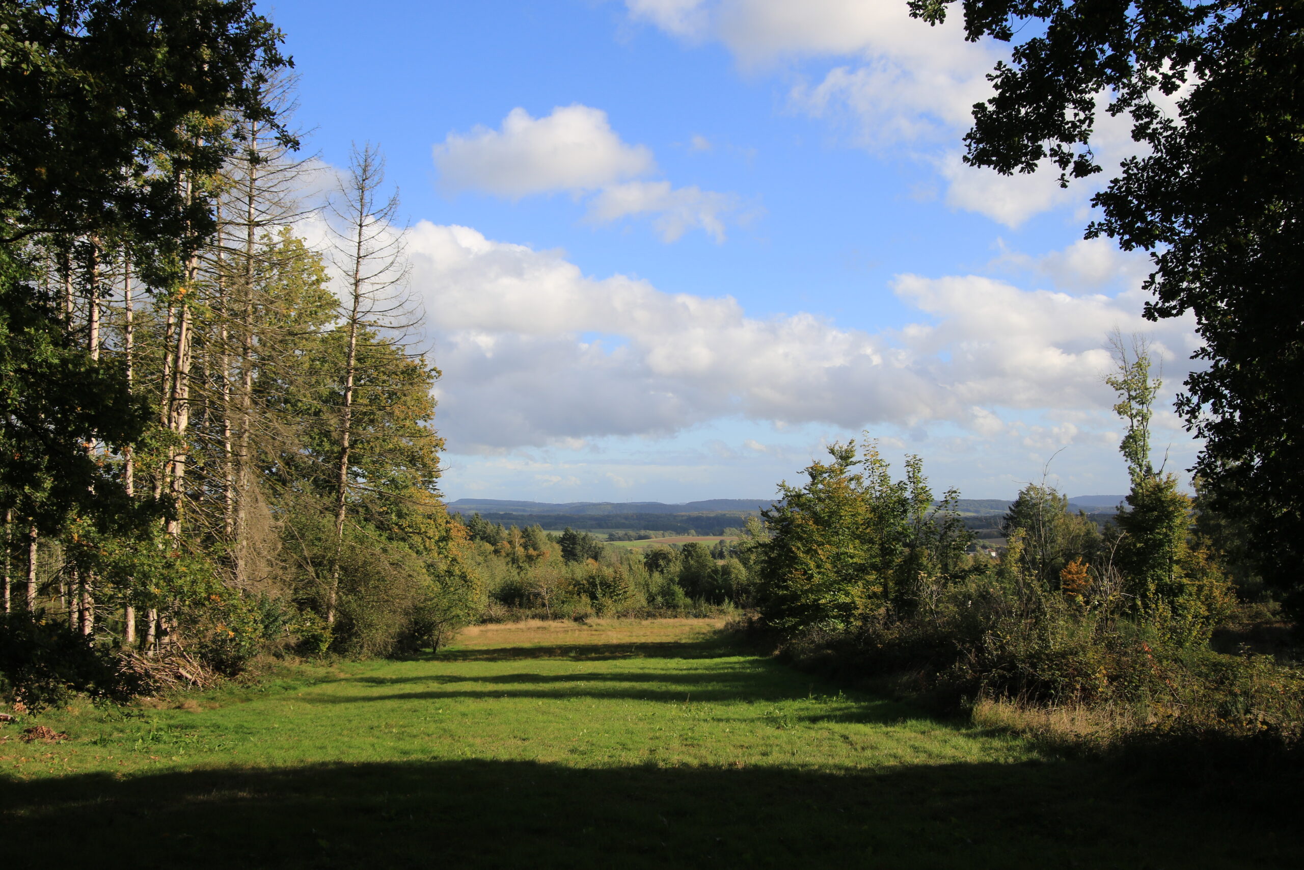 Lichtung • Talblick bei Weiskirchen Grüne Lichtung mit weitem Blick über Wälder und Hügel bei Weiskirchen