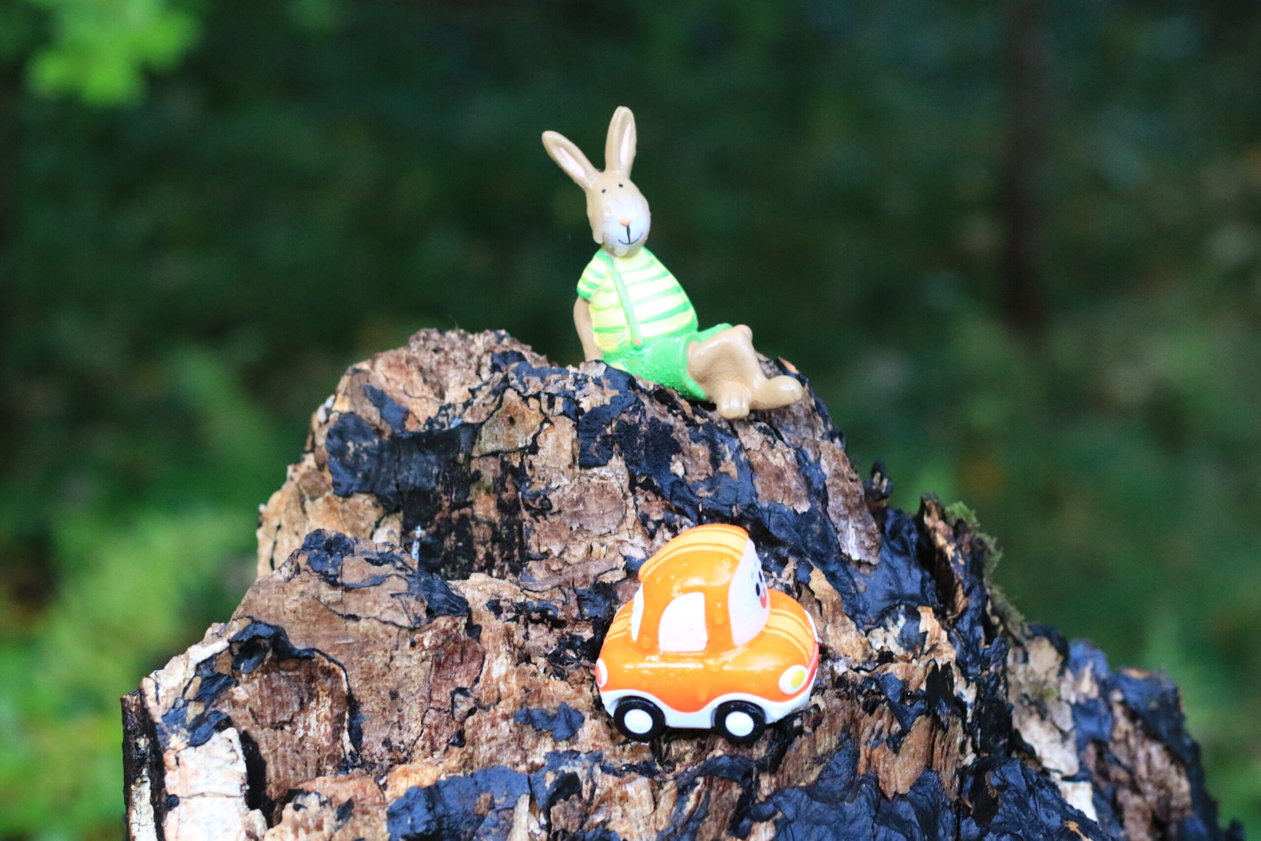 Waldfundstück • Hase & Spielzeugauto Kleine Hasenfigur und orangefarbenes Spielzeugauto auf einem moosigen Baumstumpf