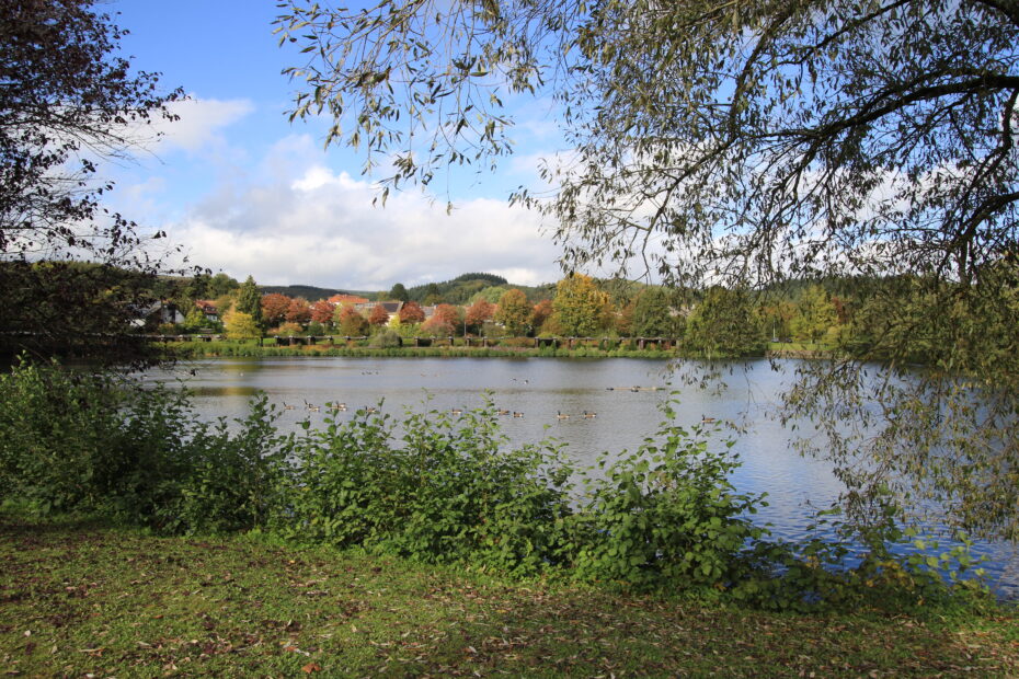 Kurparkweiher in Weiskirchen mit Wasservögeln und herbstlich gefärbten Bäumen – Blick vom Ufer am Heilklimaweg 5 Buchheimerweg.