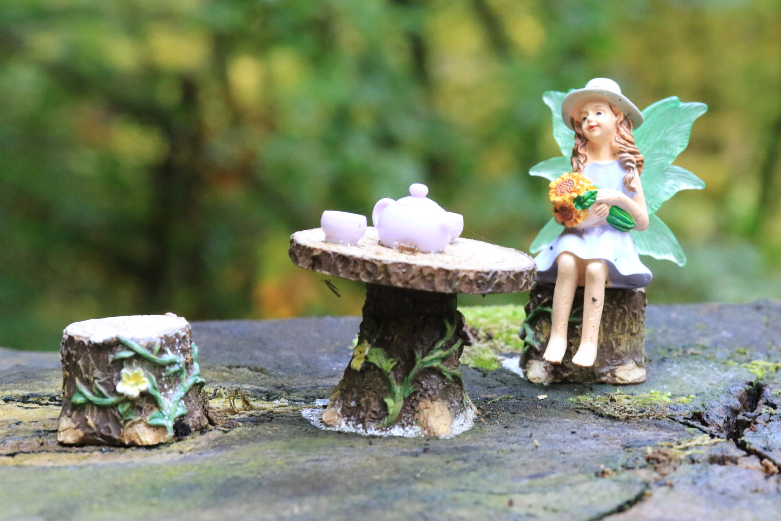 Waldfund • Feen-Tafel Miniatur-Fee mit Teeservice auf moosigem Baumstumpf im Wald