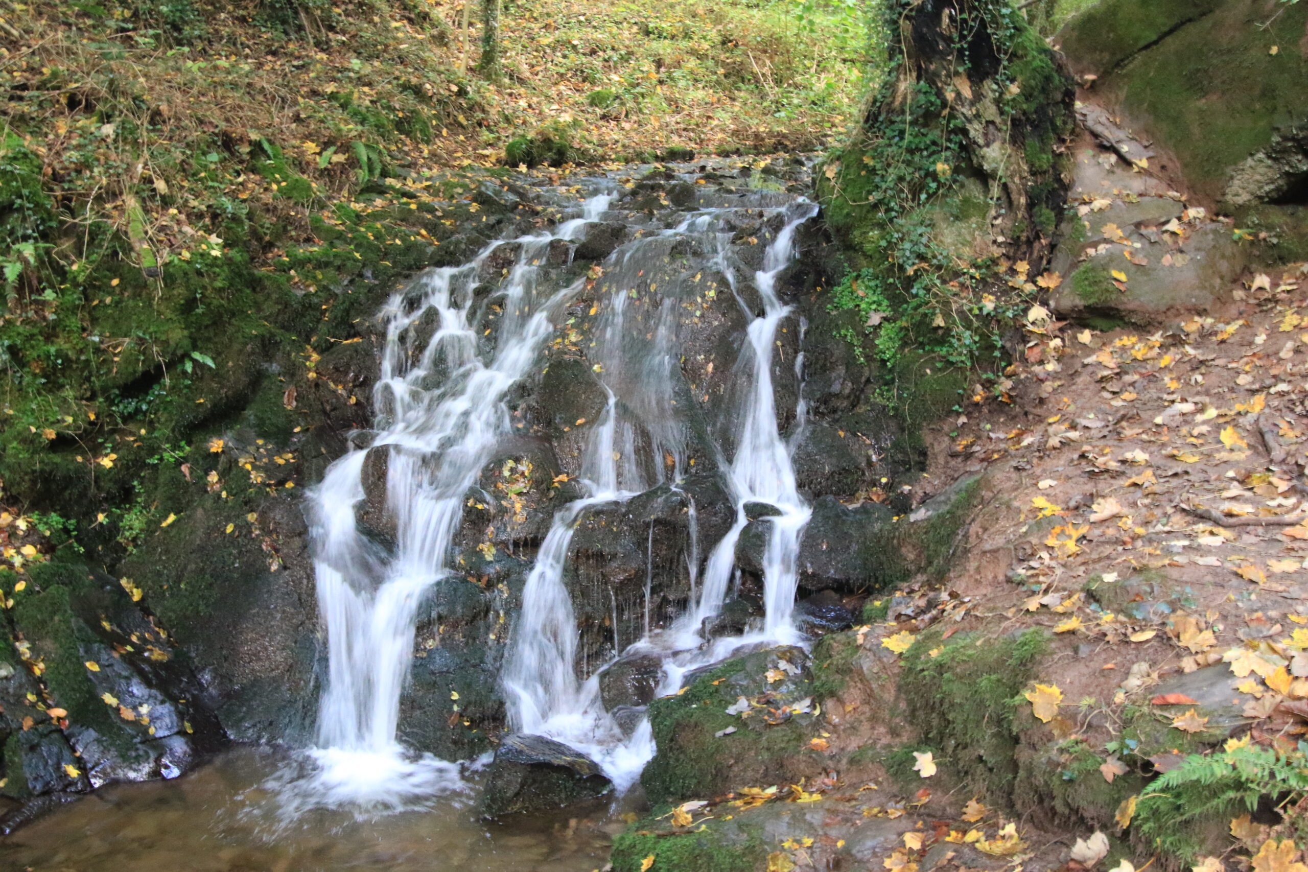 Kaskade am Seitenbach • Plätschern im Moos Kleine Wasserfall-Kaskade über moosige Felsstufen im Laubwald