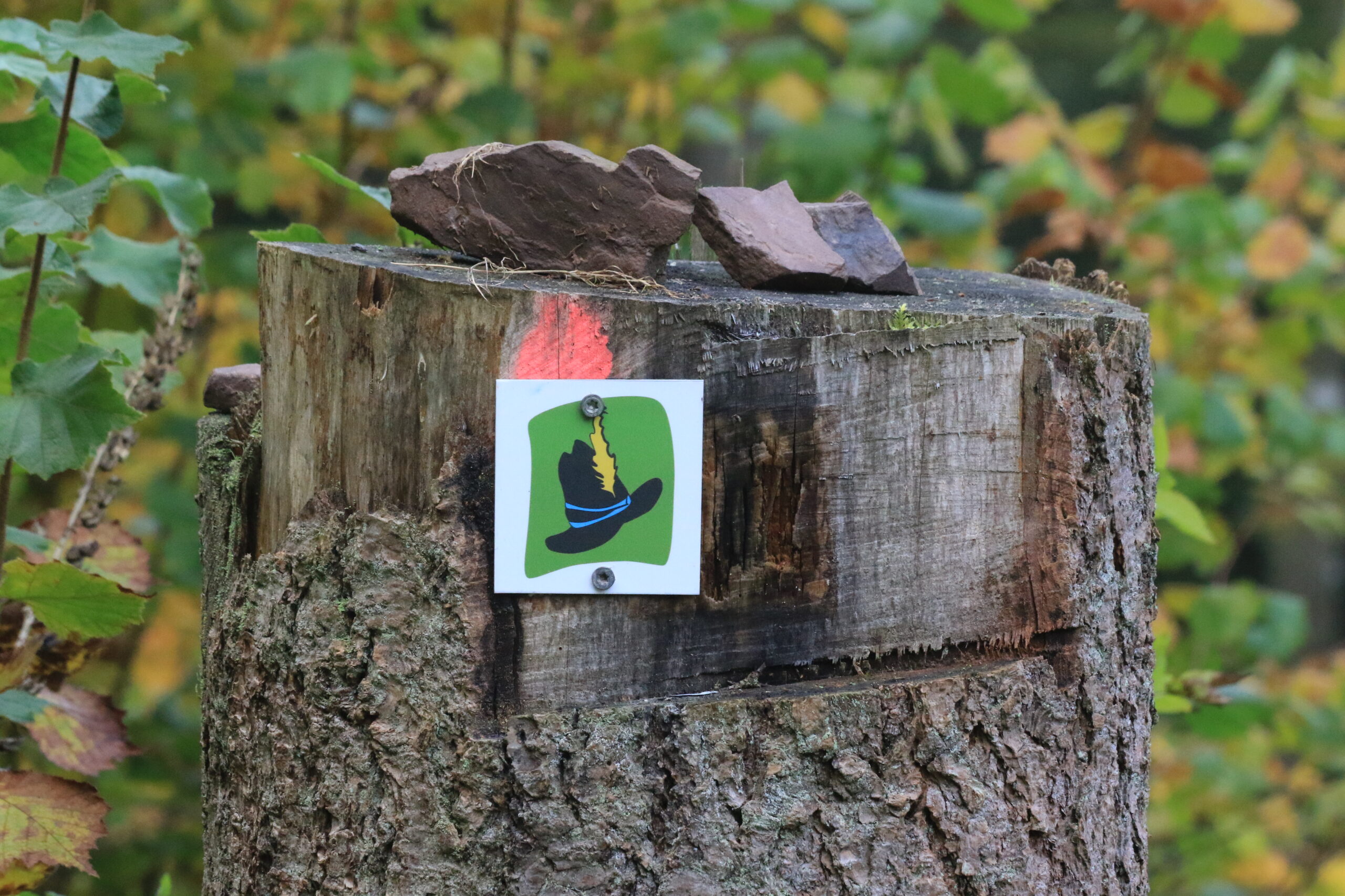 Wegmarkierung • Hut & Feder Wegmarkierung der HeimatSpur Auf den Spuren der Moselbande – Hut mit Feder auf grünem Schild an Baumstumpf