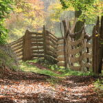 Rustikaler Holzzaun aus groben Bohlen säumt einen laubbedeckten Waldpfad; warmes Herbstlicht, Farne und buntes Laub – am Rand der Karlstalschlucht.