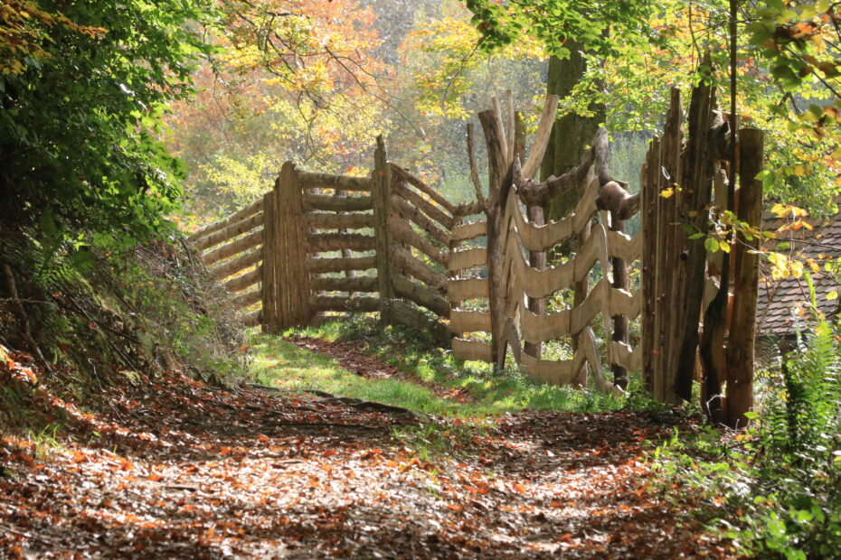 Rustikaler Holzzaun aus groben Bohlen säumt einen laubbedeckten Waldpfad; warmes Herbstlicht, Farne und buntes Laub – am Rand der Karlstalschlucht.