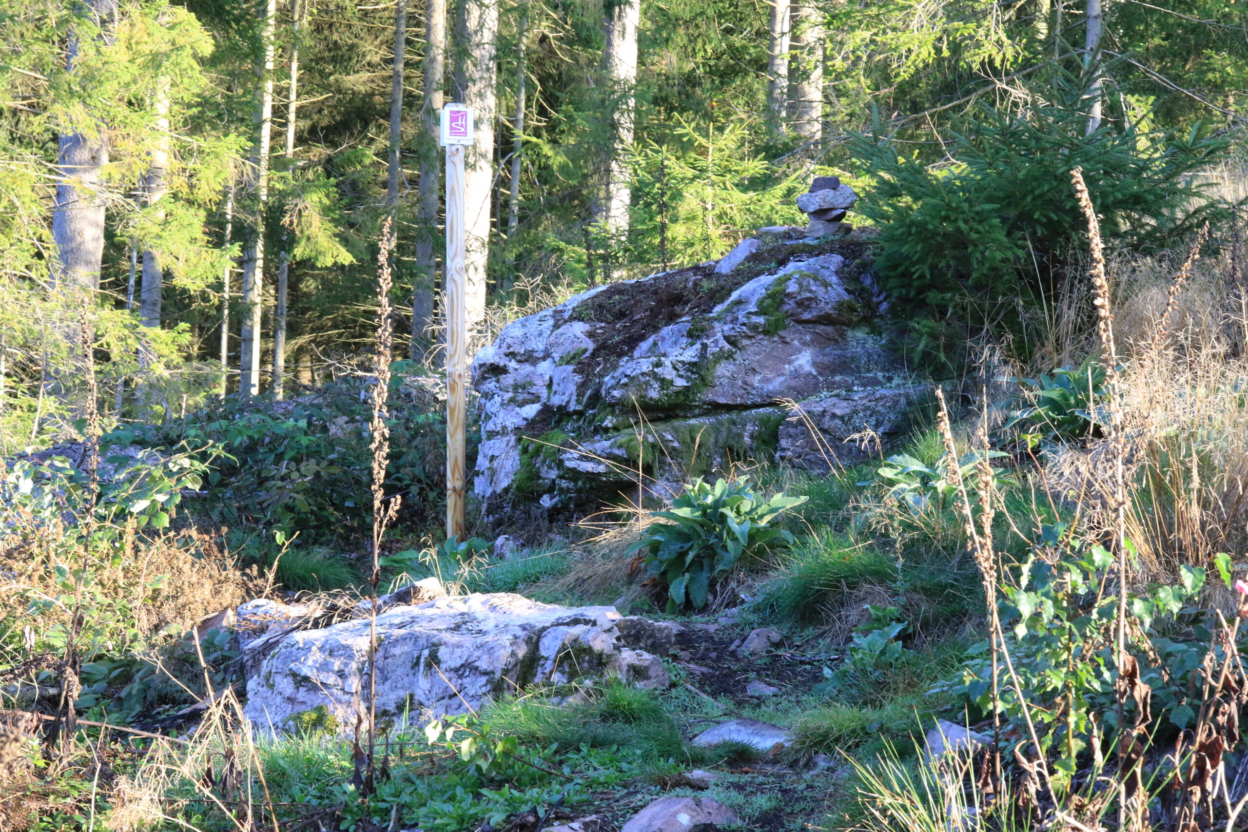 Bachwald am Morgen - Lichtfenster Sonnenstrahlen im Wald mit Bachlauf und Zeichen am Baum - Wildnis Trail Weiskirchen
