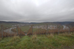 Moselachter Panoramablick über winterliche Weinberge auf das Moseltal mit Flussschleife und Ortskern unter dicht geschlossenem Wolkenhimmel.