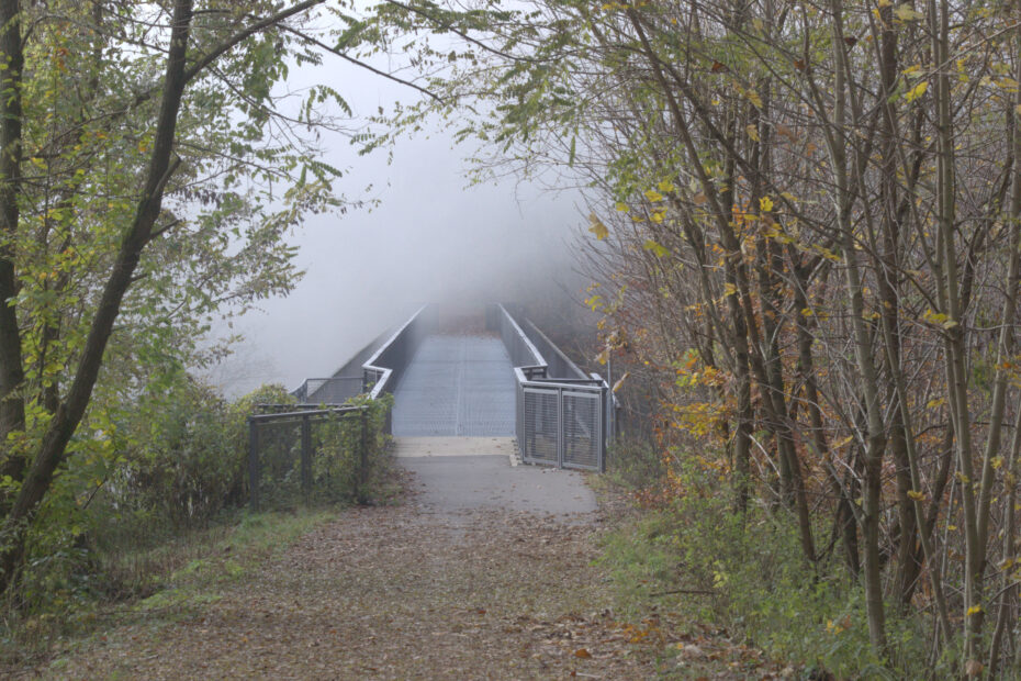 Aussichtssteg der Weiselberg Gipfeltour verschwindet im Nebel; Metallbruecke am Waldrand mit herbstlichem Laub.
