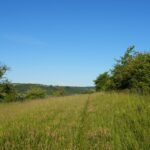 Der Bliesgauer