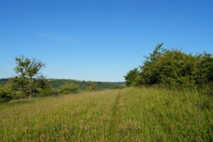 Der Bliesgauer