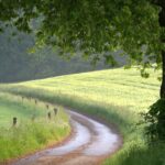Panoramablick über das Saarland vom Schaumberg