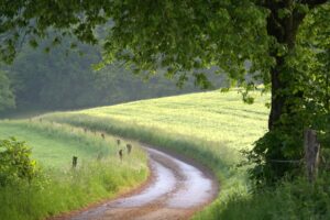 Panoramablick über das Saarland vom Schaumberg