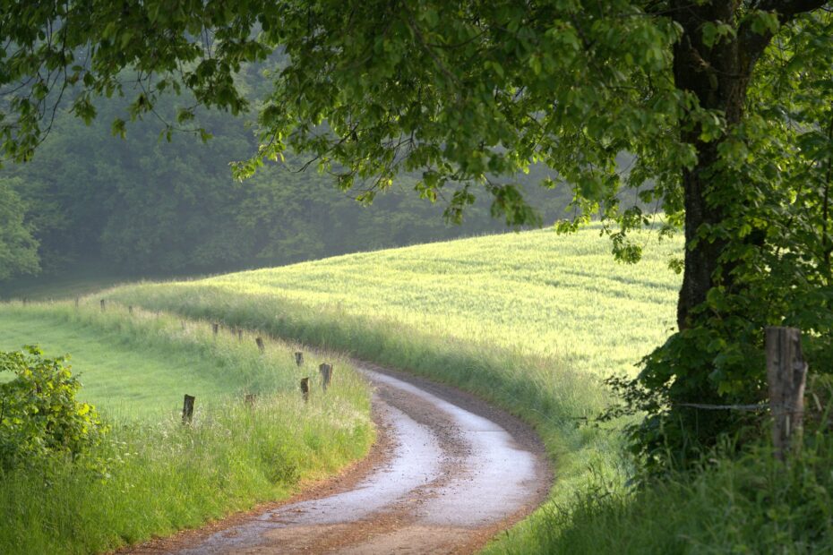 Panoramablick über das Saarland vom Schaumberg