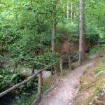5 Weiher Tour