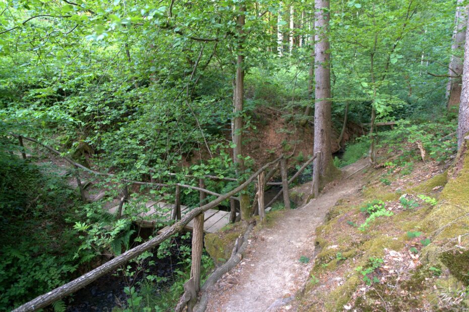 5 Weiher Tour