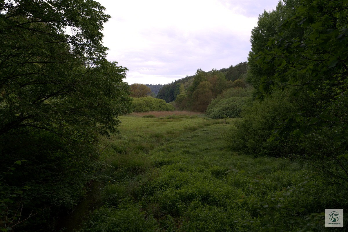 Weites Wiesental umgeben von Mischwald bewölkter Himmel L'Amour on Tour Saarland