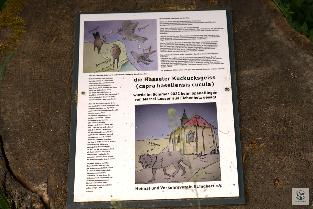 Infotafel Hasseler Kuckucksgeiss Capra haseliensis cucula L'Amour on Tour St. Ingbert