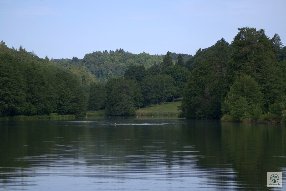 Stiller See mit grünem Waldpanorama bei L'Amour on Tour Wanderung in Blieskastel