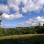 Wiesenblick am Flowtrail Ottweiler