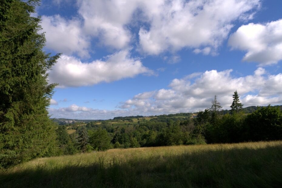 Wiesenblick am Flowtrail Ottweiler