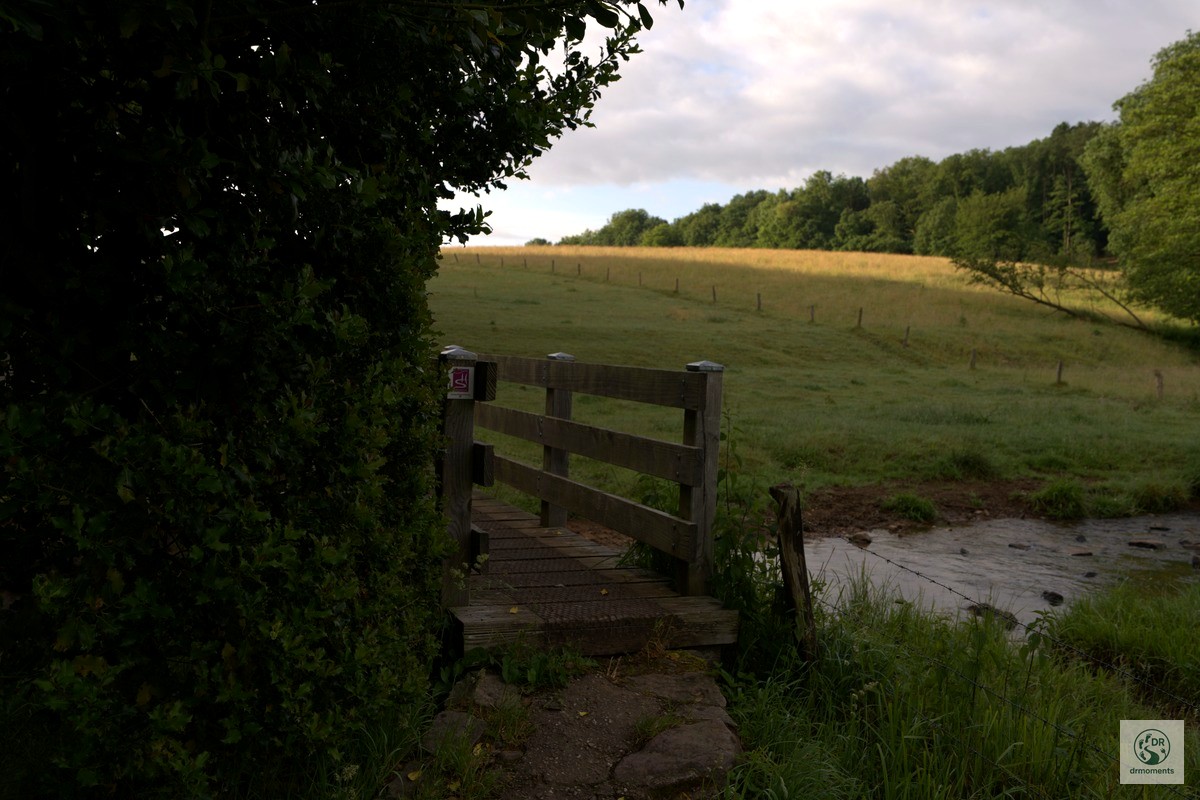 Kleine Holzbrücke über Bach auf dem Georgi-Panoramaweg mit grüner Weidelandschaft im Hintergrund