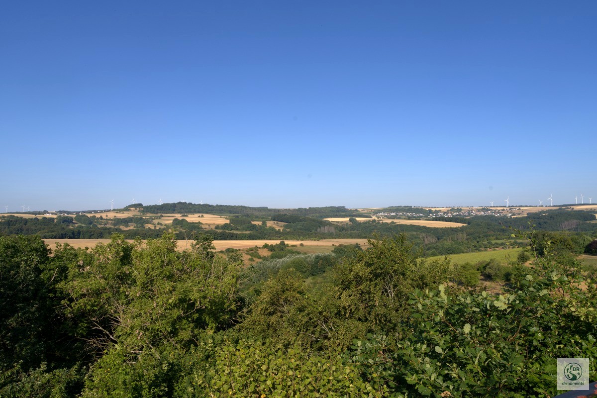 Weite Landschaft mit Feldern, Wäldern und Windrädern auf der König-Johann-Runde