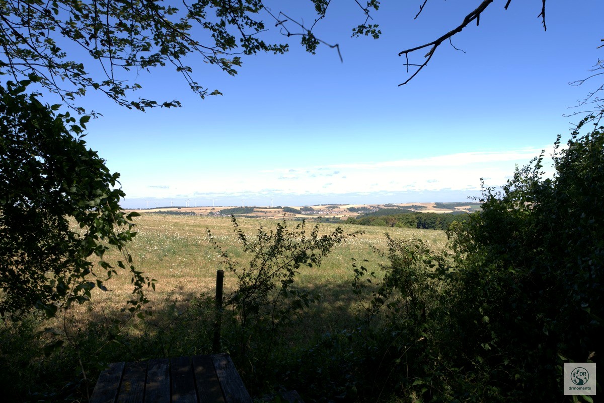 Blick durch Baumäste auf grüne Wiesen und Hügellandschaft entlang der König-Johann-Runde
