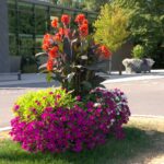 Blumenbrücke Mertzig – Petunien in Pink & Lila