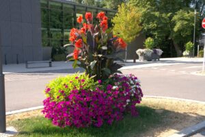 Blumenbrücke Mertzig – Petunien in Pink & Lila