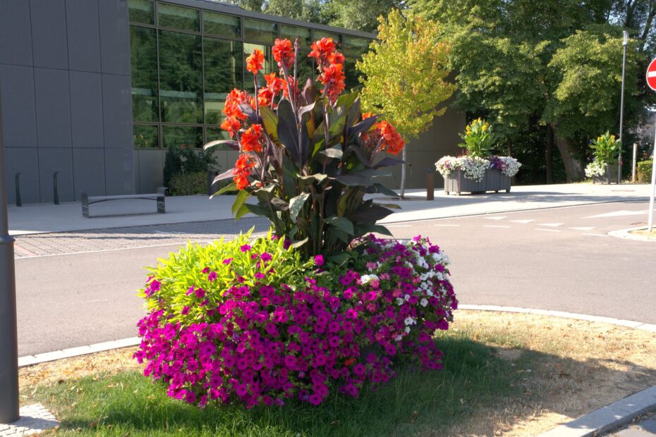 Blumenbrücke Mertzig – Petunien in Pink & Lila