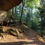 Blick durch den Wald auf die Kirkeler Burg