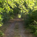 Traumschleife Schiefer-Wackenweg