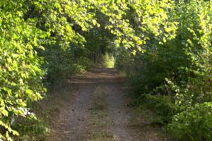 Traumschleife Schiefer-Wackenweg