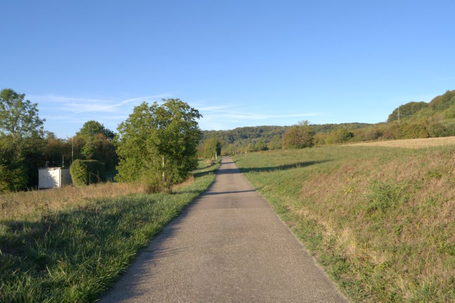 Stiller Weiher mit Schilf und Holzsteg